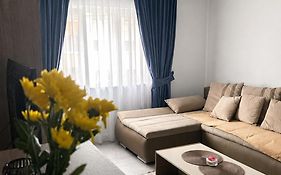 Borșa ApartHotel 4